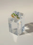 Aeriselle-Eclipse Chequered Ring Green-Edelstahl Gold & Silver - Gold - Ringe