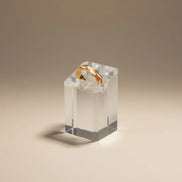 Aeriselle-Eclipse Chequered Ring Orange-Edelstahl Gold & Silver - Gold - Ringe