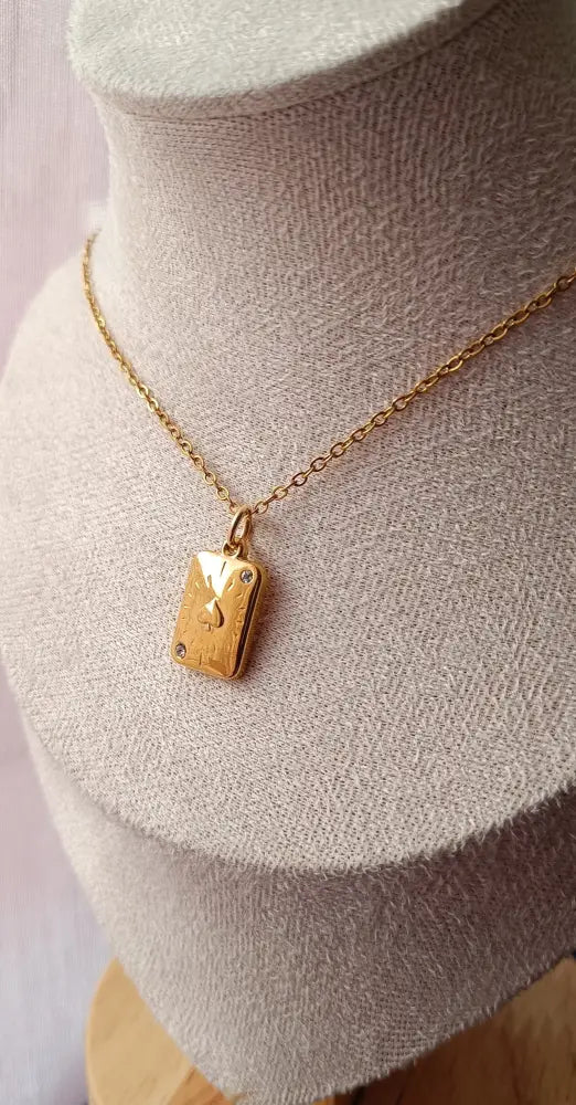 Pikass Amulet- Edelstahl Gold & Silber - Halskette