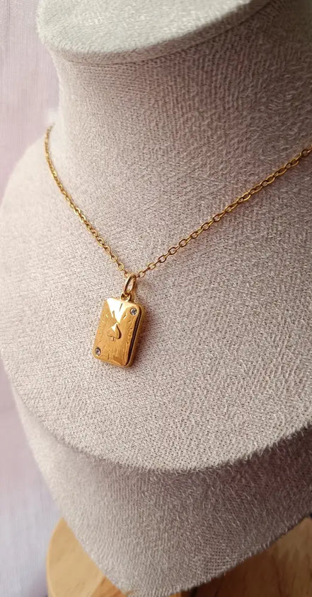 Pikass Amulet- Edelstahl Gold & Silber - Halskette