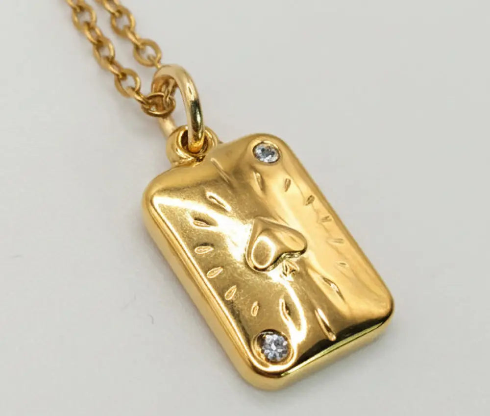 Pikass Anhanger und gold kette