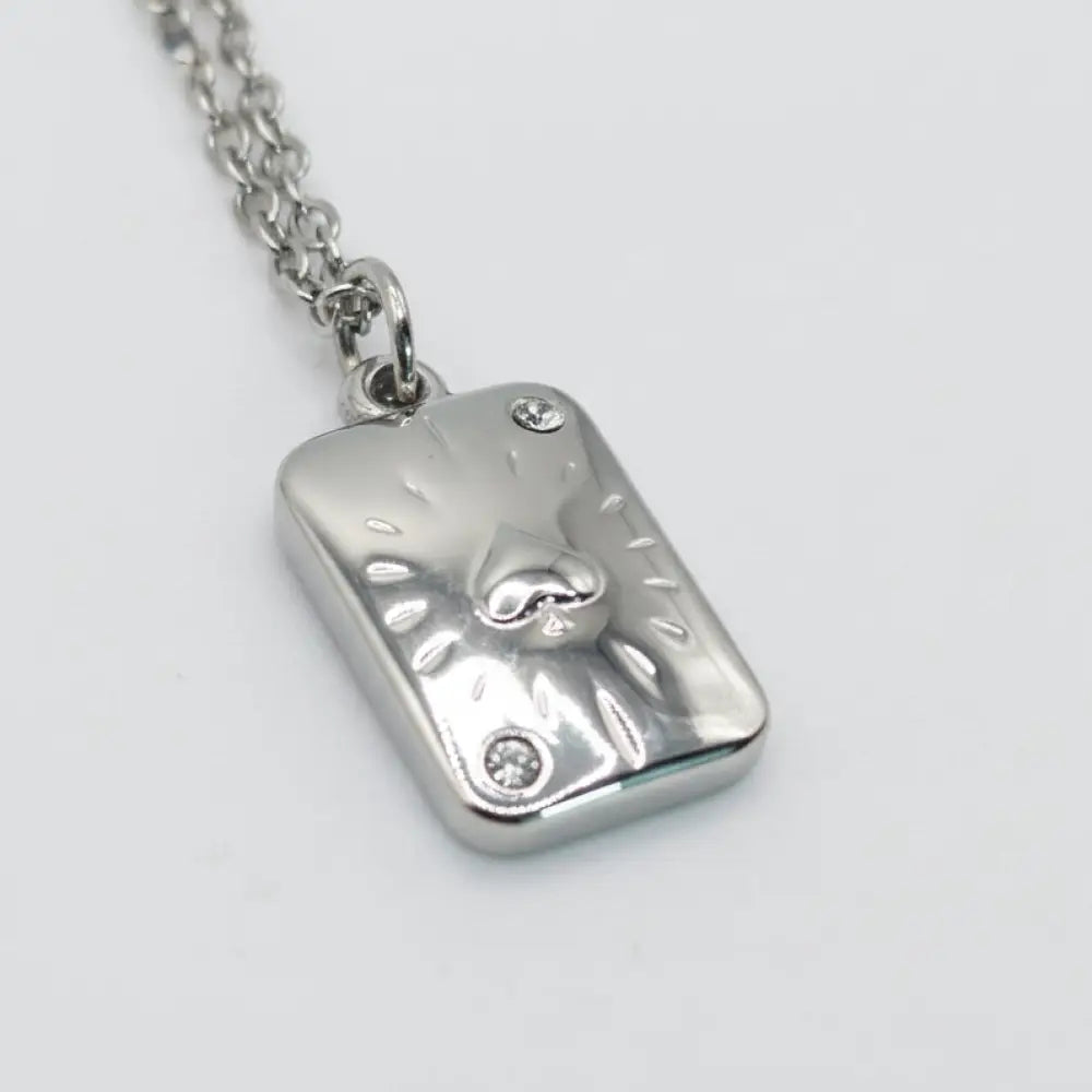 Pikass Anhäanger und silber kette