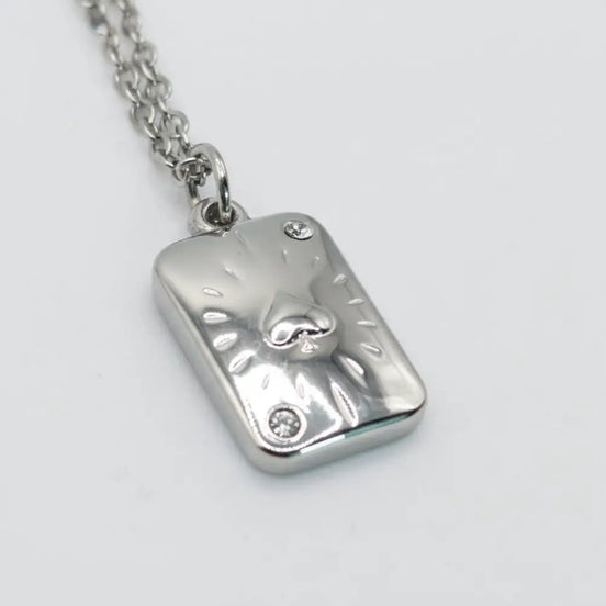 Pikass Anhäanger und silber kette