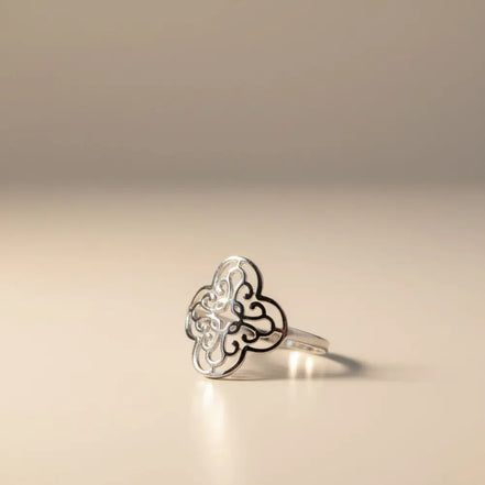 Solvaris-Baroque Sun Crown Ring -Edelstahl-Gold & Silver - Silber - Ringe