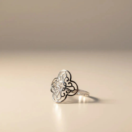 Solvaris-Baroque Sun Crown Ring -Edelstahl-Gold & Silver - Silber - Ringe